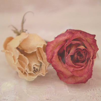 El Jardín de los Sueños